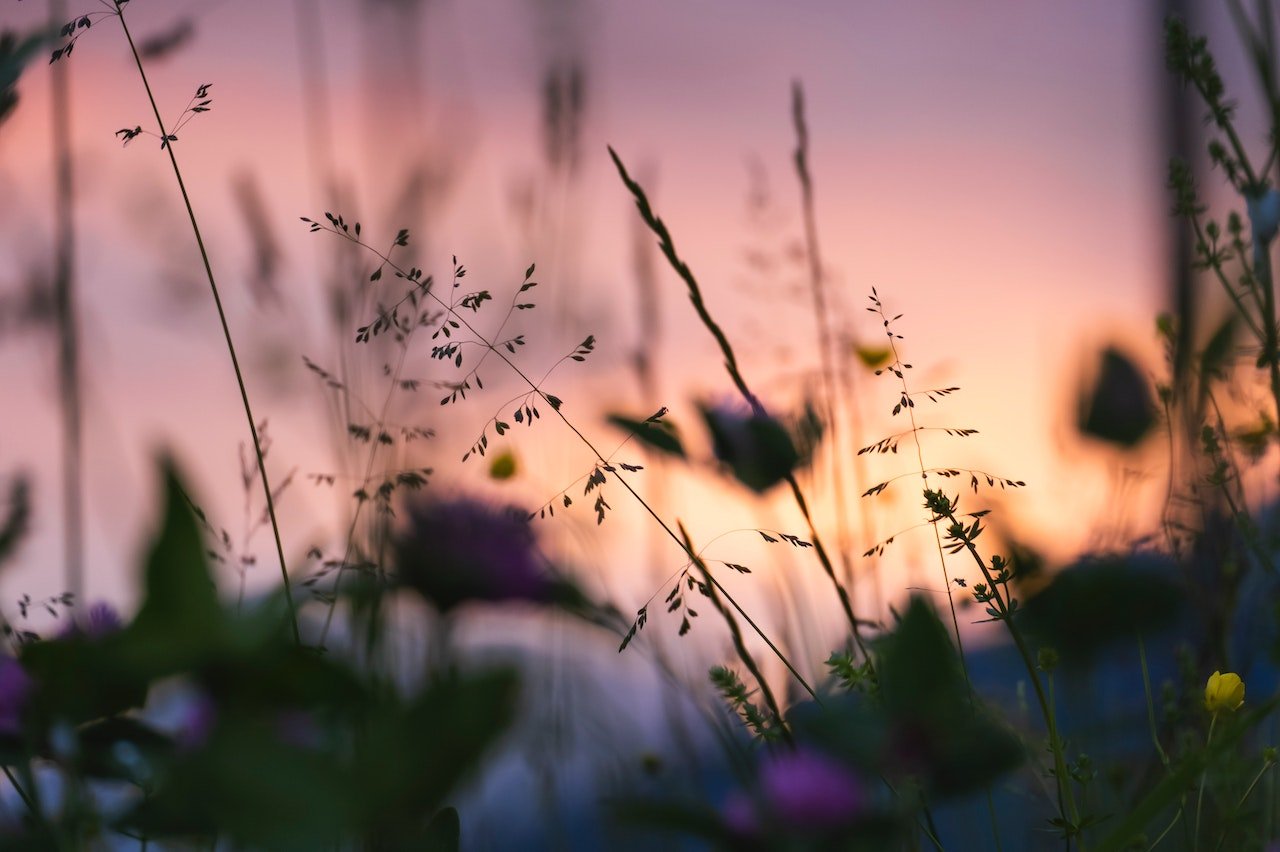 Glad Midsommar från Ecoestic Sweden! 🌼 - Ecoestic Sweden